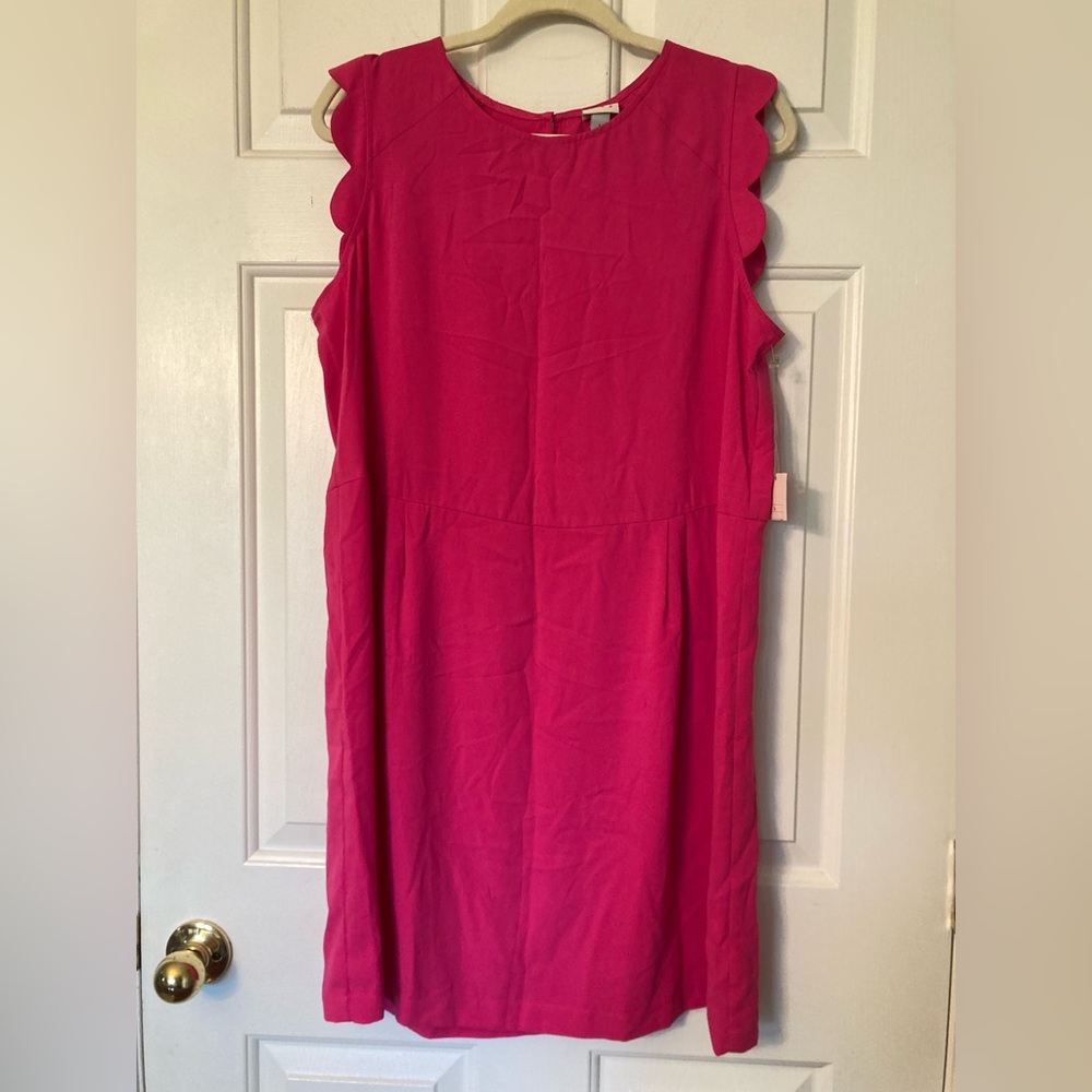 Bright Pink Sleeveless Scallop-Edge Shift Dress